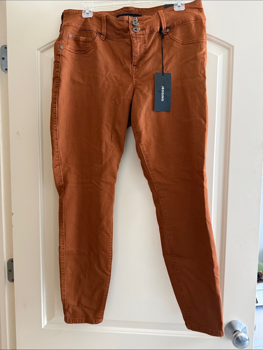 torrid Rust-Colored  Jeggings with Double-Button Waist